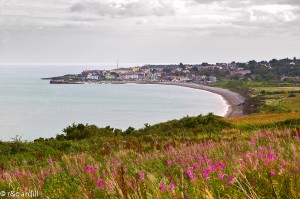 -Wicklow-View-of-Greystones-and-Bay-300x199